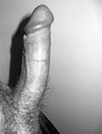 steinc033_klein.jpg