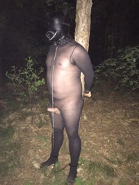 image.jpeg